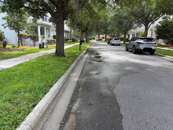 Curb and gutter after cleaning, bright concrete curb line on an oak-shaded street, Central Florida