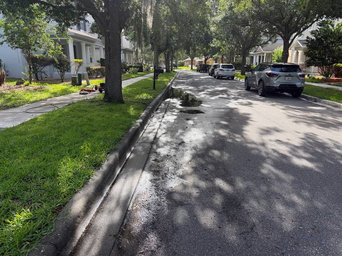 Curb and gutter before cleaning, dark band of road film and organic growth on an oak-shaded street, Central Florida
